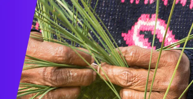Desarrollo humano en la Sierra Tarahumara