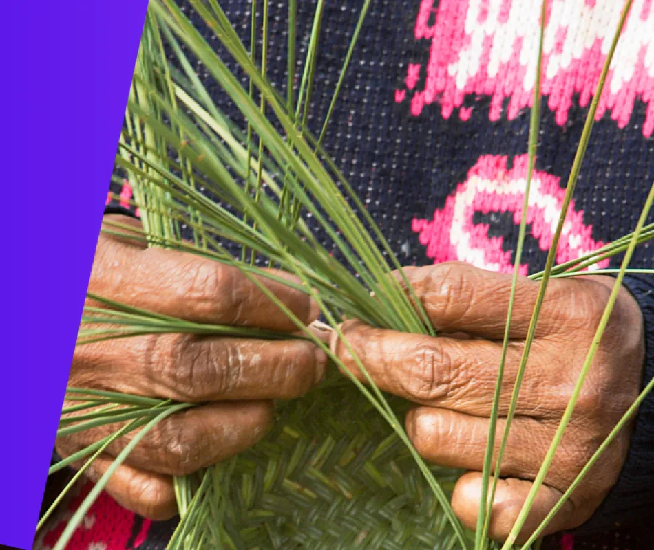 Desarrollo humano en la Sierra Tarahumara