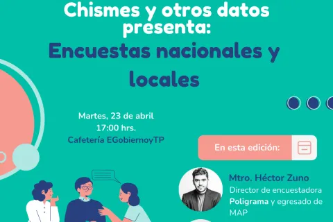 Chismes y otros datos: Encuestas nacionales y locales